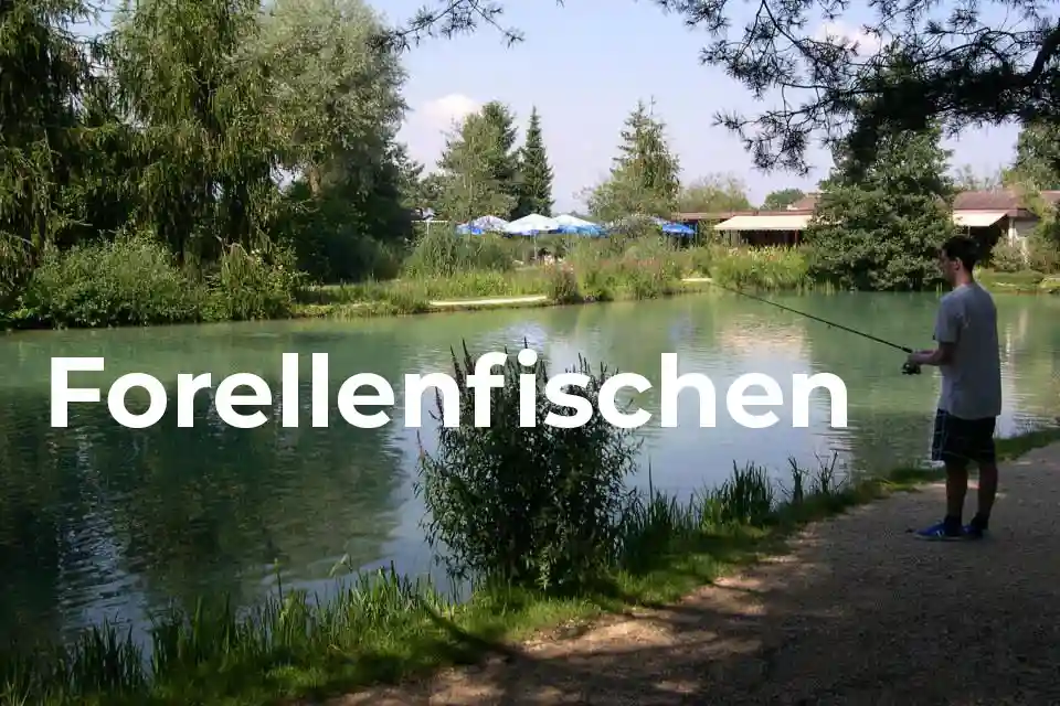 forellenfischen