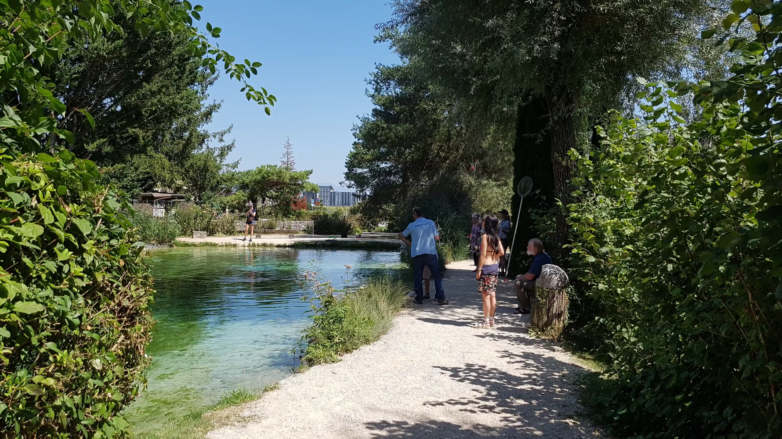 Lachsforellen Teich Lachsforellen Teich