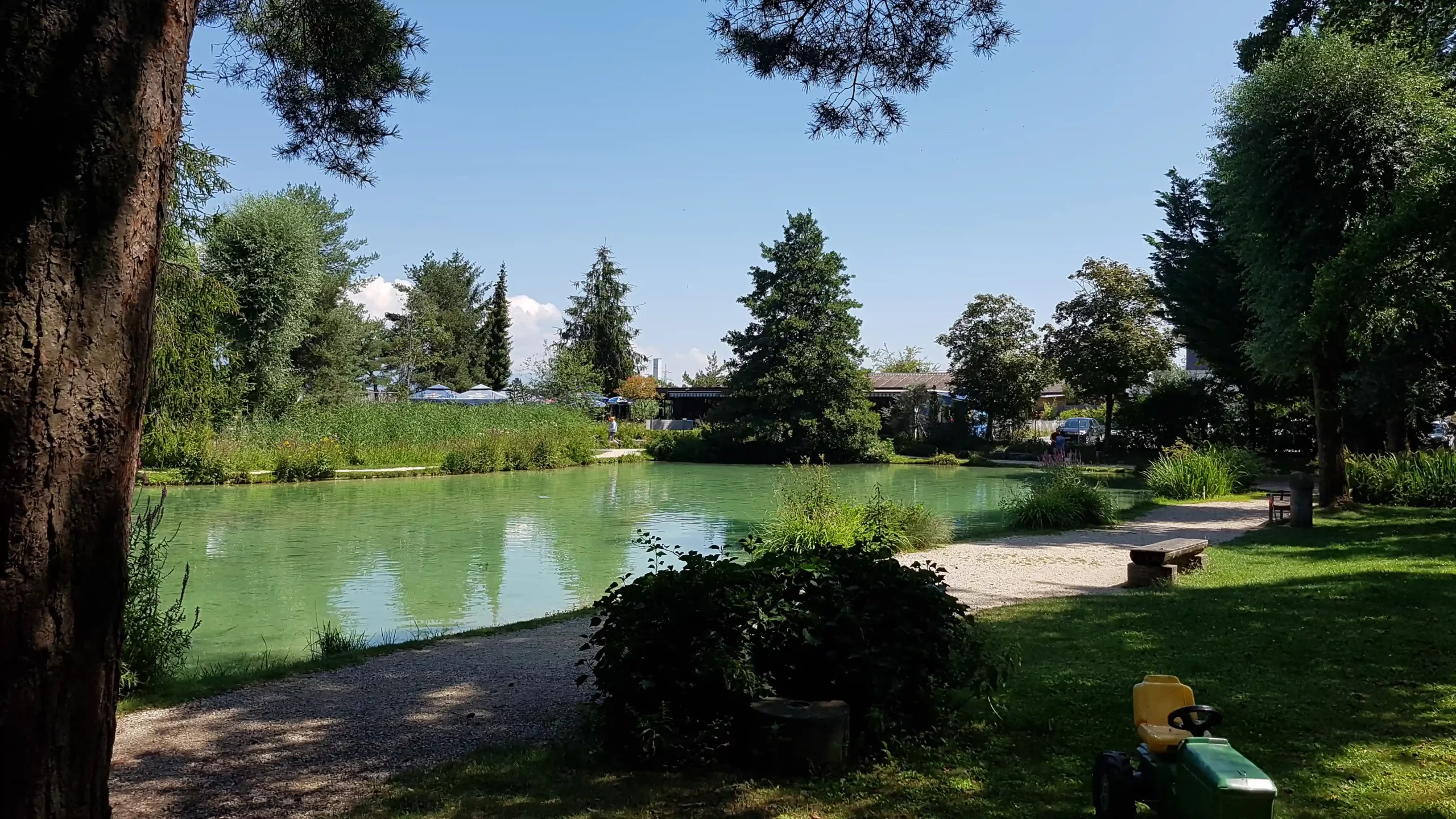 Regenbogenforellen Teich Regenbogenforellen Teich