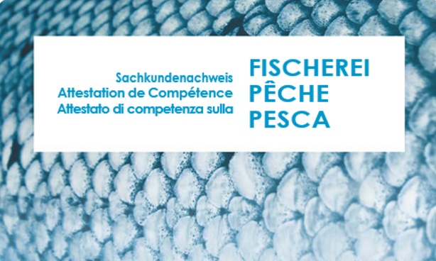 Fischerei Brevet